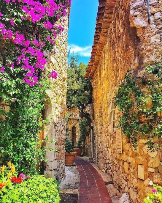 Studio Au Calme, Avec Terrasse Et Parking A Eze Village Εξωτερικό φωτογραφία
